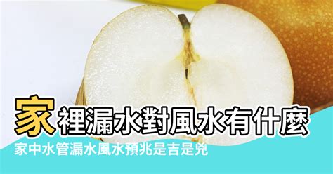 家裡漏水風水|【水漏是風水】家中水管漏水風水預兆是吉是兇 